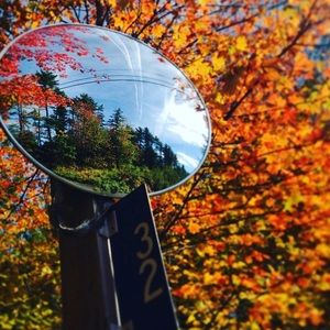 Meet your Posher, Isabella